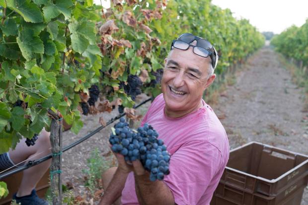 21586640_10155261178676749_5822474484912881930_o