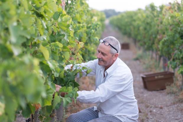 21741203_10155251272771749_2334908229295287646_o