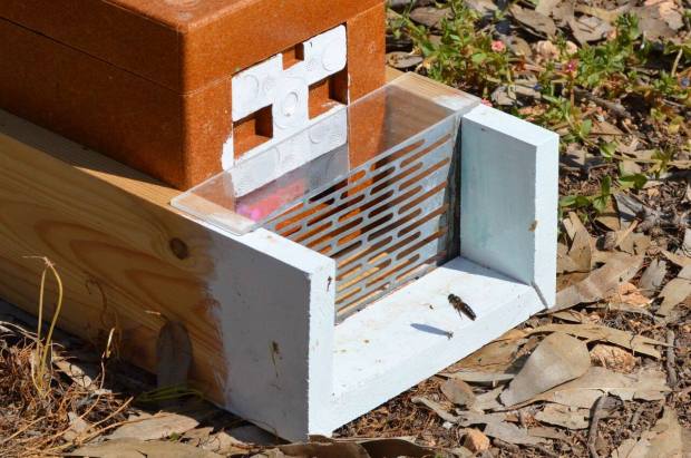 21949901_1775737346051963_5626479844130908571_o