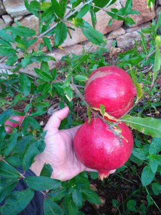 23335597_10213077804452914_1319283031_o (1)