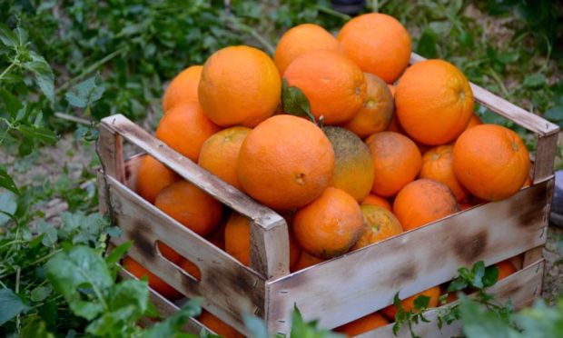 rural-malta-ecotour2