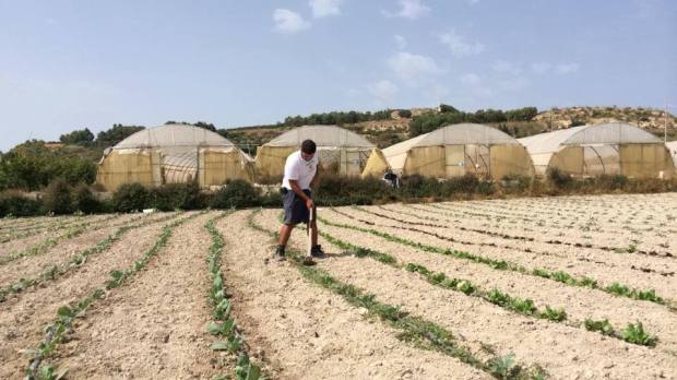 10303951_551249351651712_4296278123087627595_n