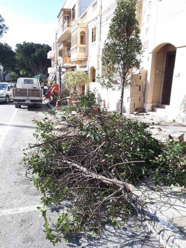 28033250_10213851226107972_538394631_o