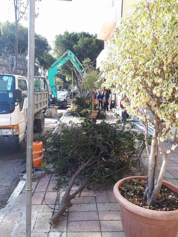 28033548_10213851225747963_1435309608_o