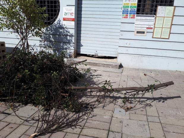 28034145_10213851226627985_608711186_o