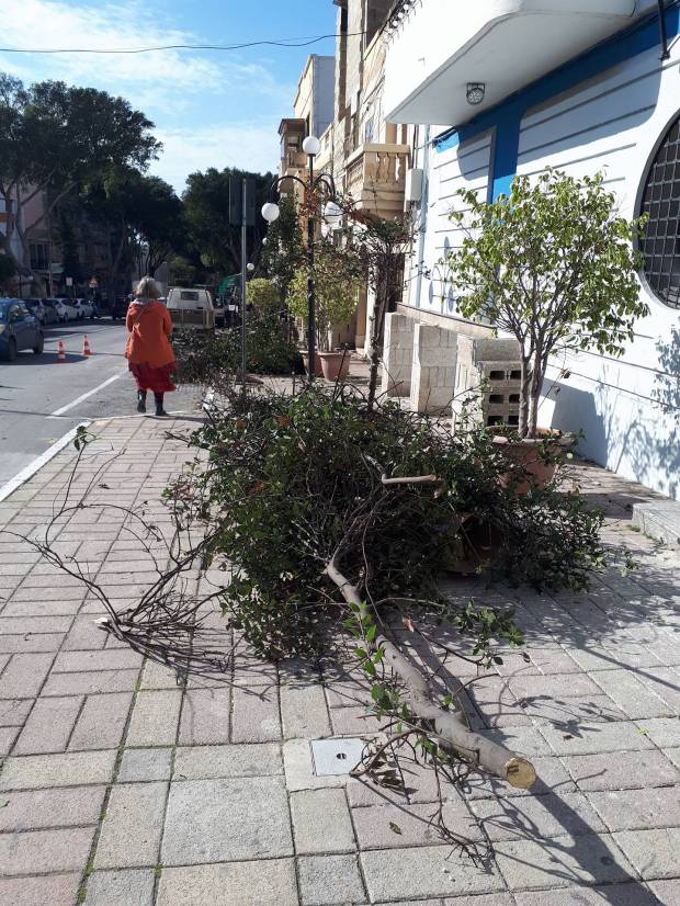 28034852_10213851226707987_732534508_o