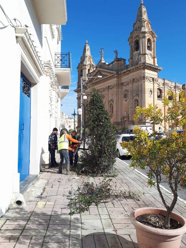 28081909_10213851226747988_860666200_o