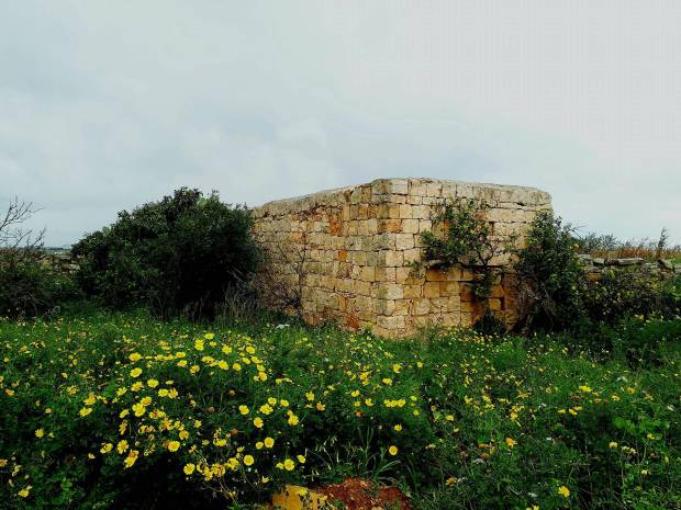 28170098_10213862493069639_1140972779_o