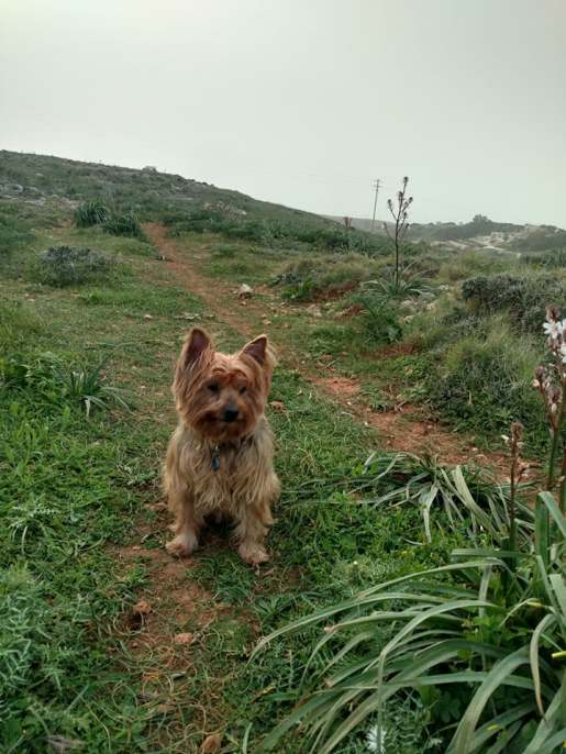 28576629_10156691224112137_1107808235221524275_n