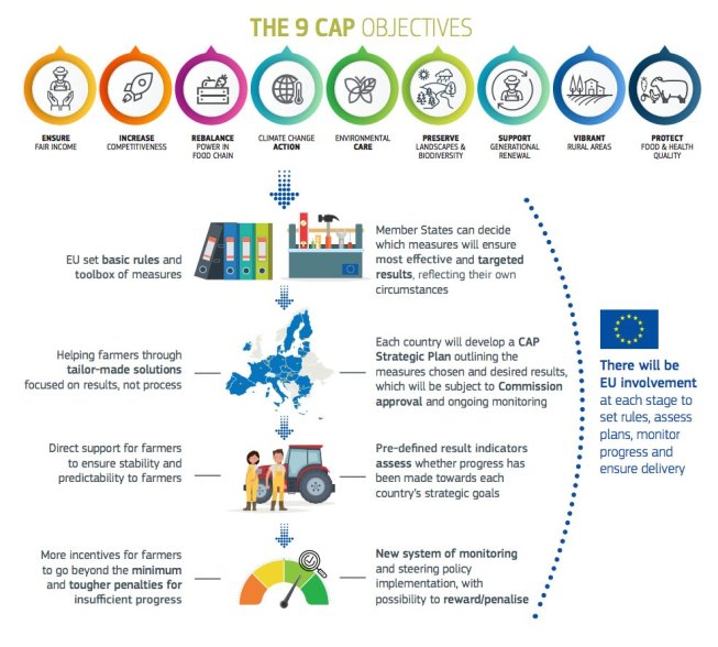 9 CAP objectives beyond 2020