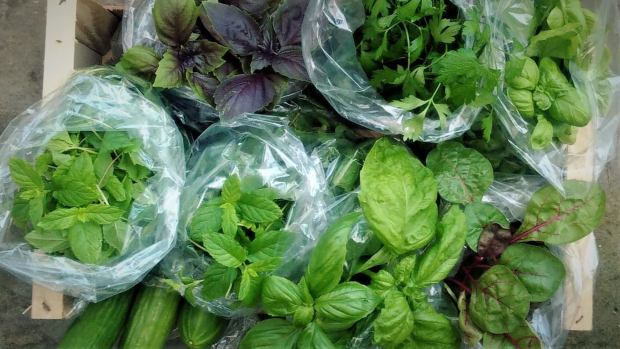 40441525_10156120895251749_7403990385229299712_o